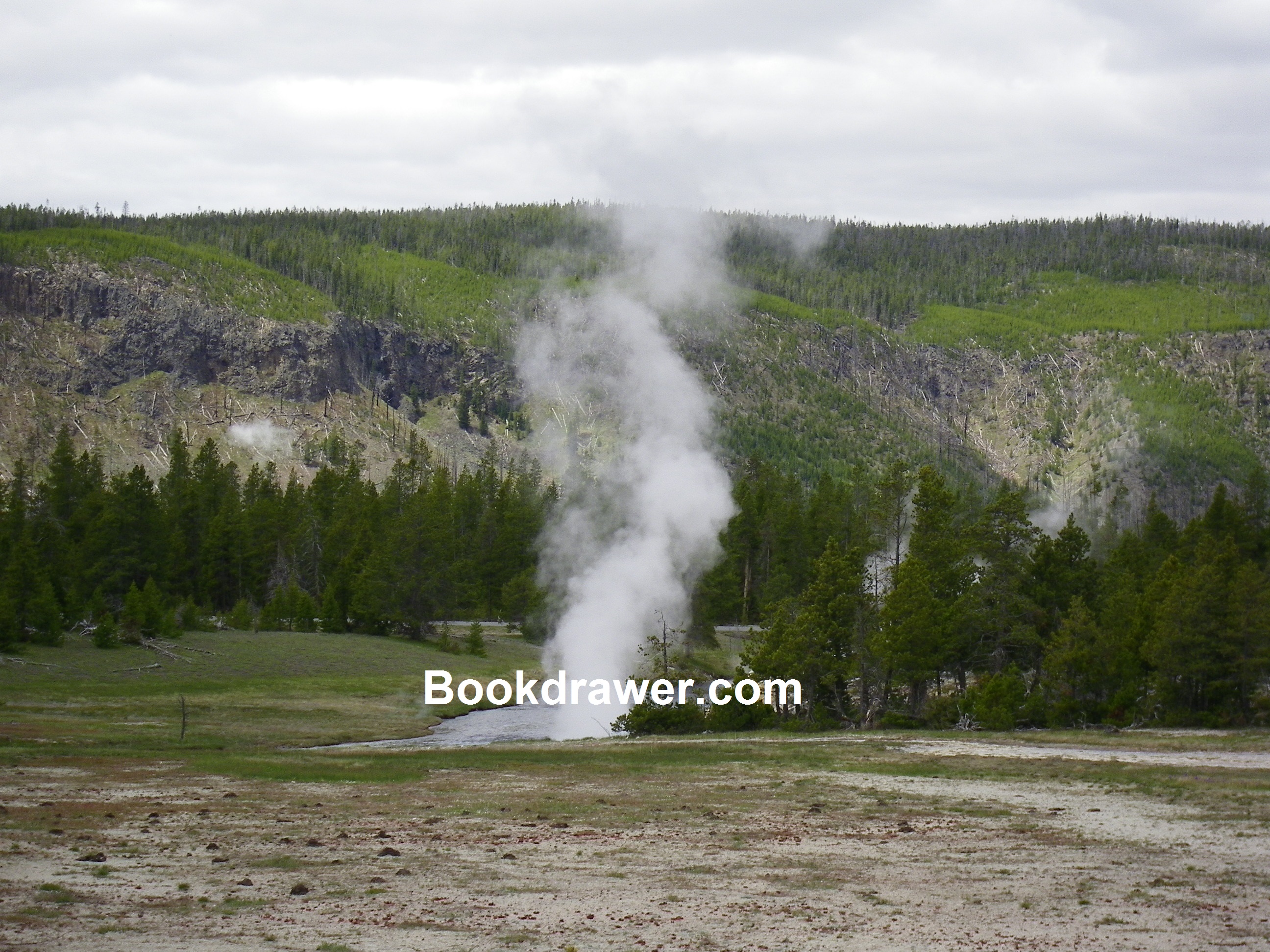 Yellowstone