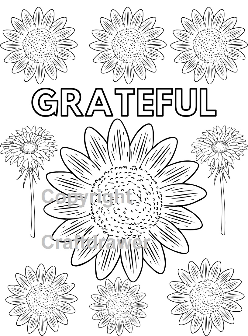 Stress Relieving Words and Patterns to Color - Includes Designs, Shapes, Mandalas, Flowers and Many More!