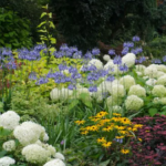 Guide to Planting Perennials